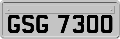 GSG7300