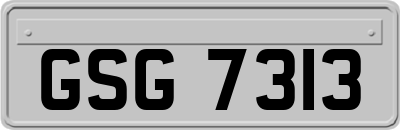 GSG7313