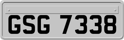 GSG7338