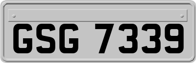 GSG7339