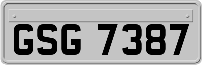 GSG7387