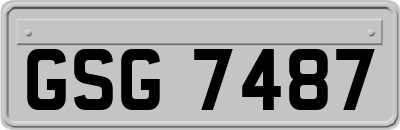 GSG7487