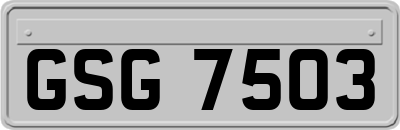 GSG7503
