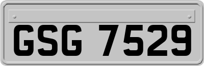 GSG7529