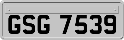 GSG7539
