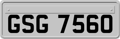 GSG7560