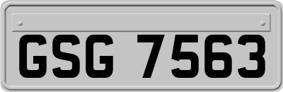 GSG7563