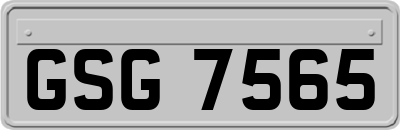 GSG7565