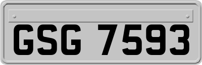 GSG7593