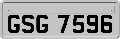 GSG7596