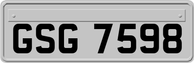 GSG7598