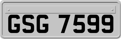 GSG7599