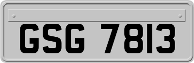 GSG7813