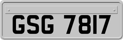 GSG7817