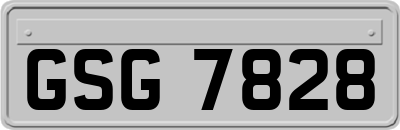 GSG7828
