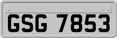 GSG7853