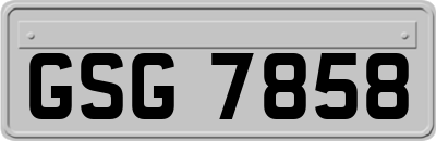 GSG7858