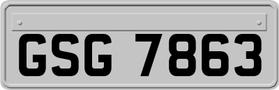 GSG7863