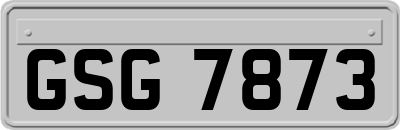 GSG7873