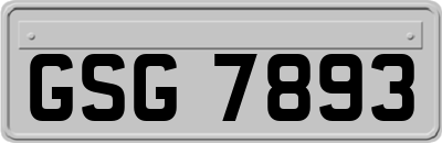 GSG7893