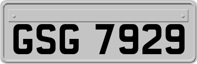 GSG7929