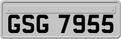 GSG7955