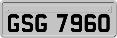 GSG7960
