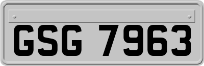 GSG7963