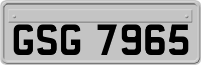 GSG7965