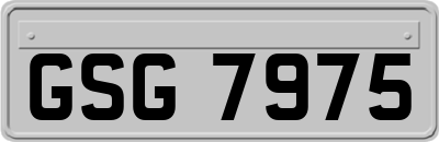GSG7975