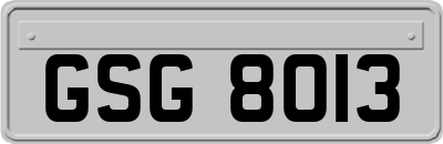 GSG8013