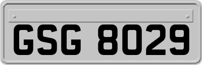 GSG8029