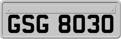 GSG8030