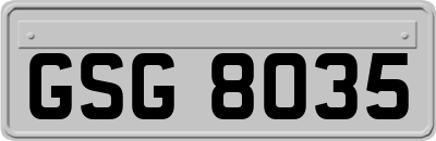 GSG8035