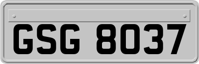 GSG8037
