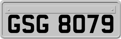 GSG8079