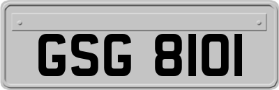 GSG8101