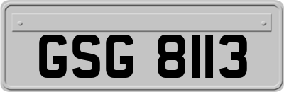 GSG8113
