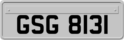 GSG8131