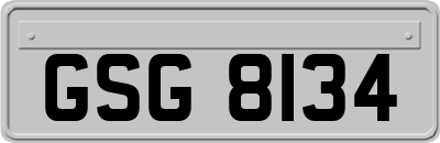 GSG8134