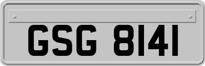 GSG8141