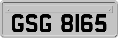 GSG8165