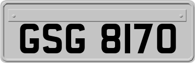 GSG8170