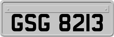 GSG8213