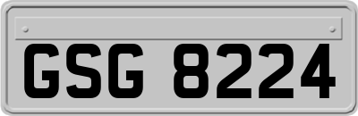 GSG8224