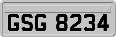 GSG8234