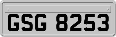 GSG8253
