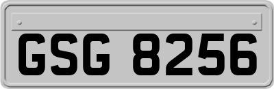 GSG8256