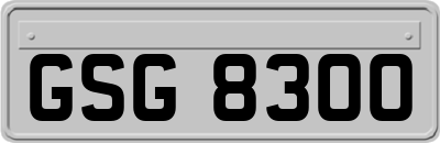 GSG8300