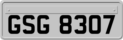 GSG8307